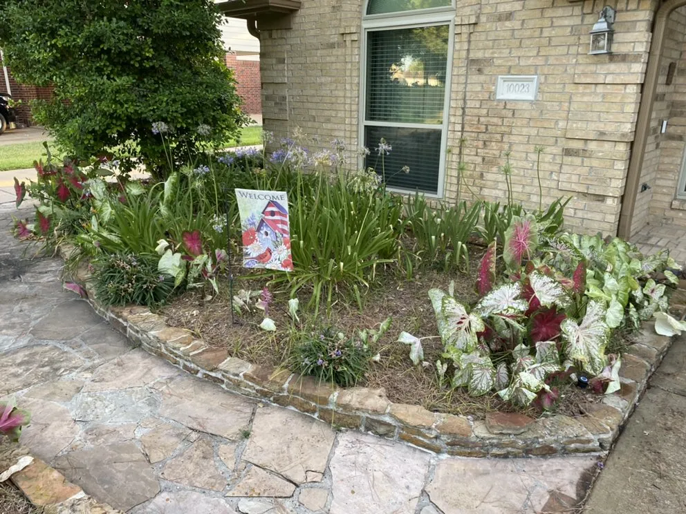 Trusted lawn care service in Houston, TX by The Great Grassby Lawn Service