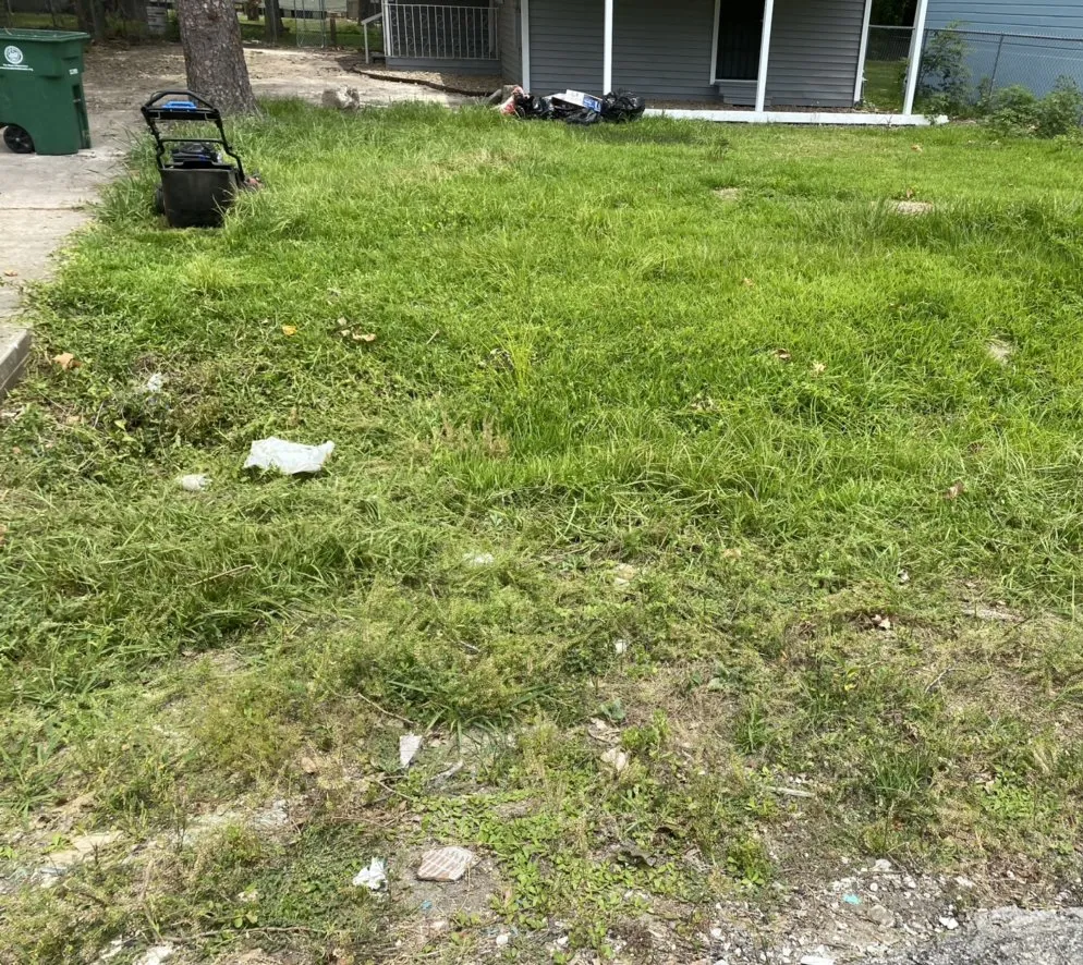 Professional lawn care service with custom design across Houston, TX - The Great Grassby Lawn Service