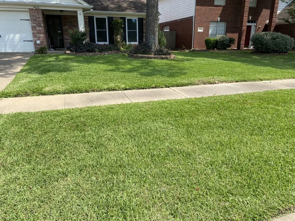 Affordable landscape design near you across Houston, TX - The Great Grassby Lawn Service