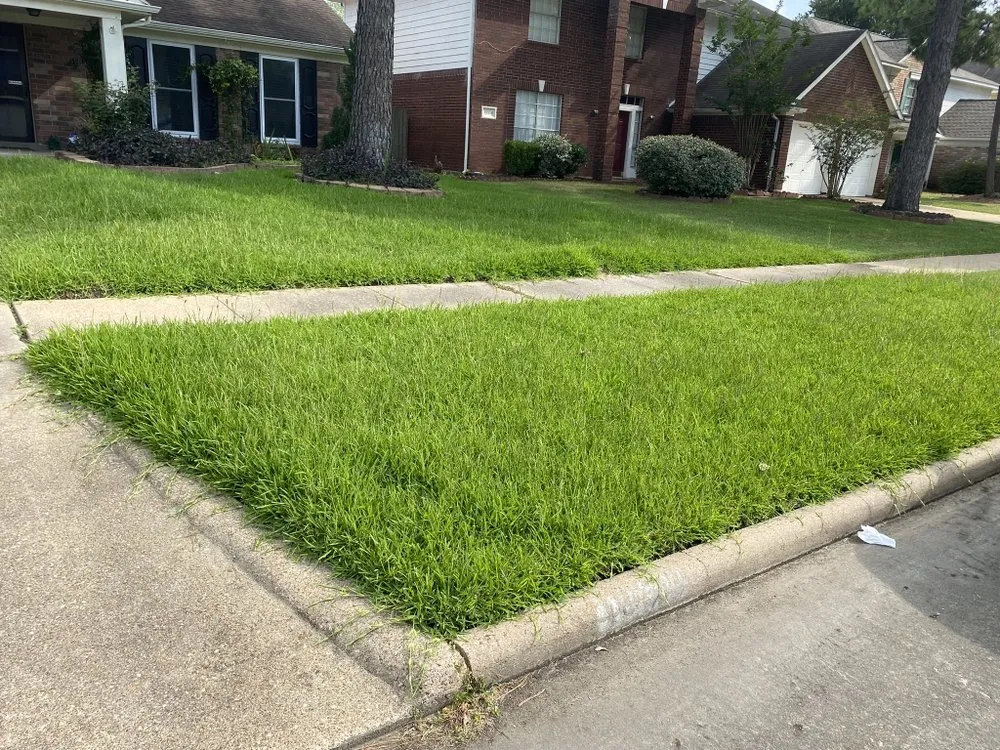 Affordable landscaping services experts serving Houston, TX - The Great Grassby Lawn Service