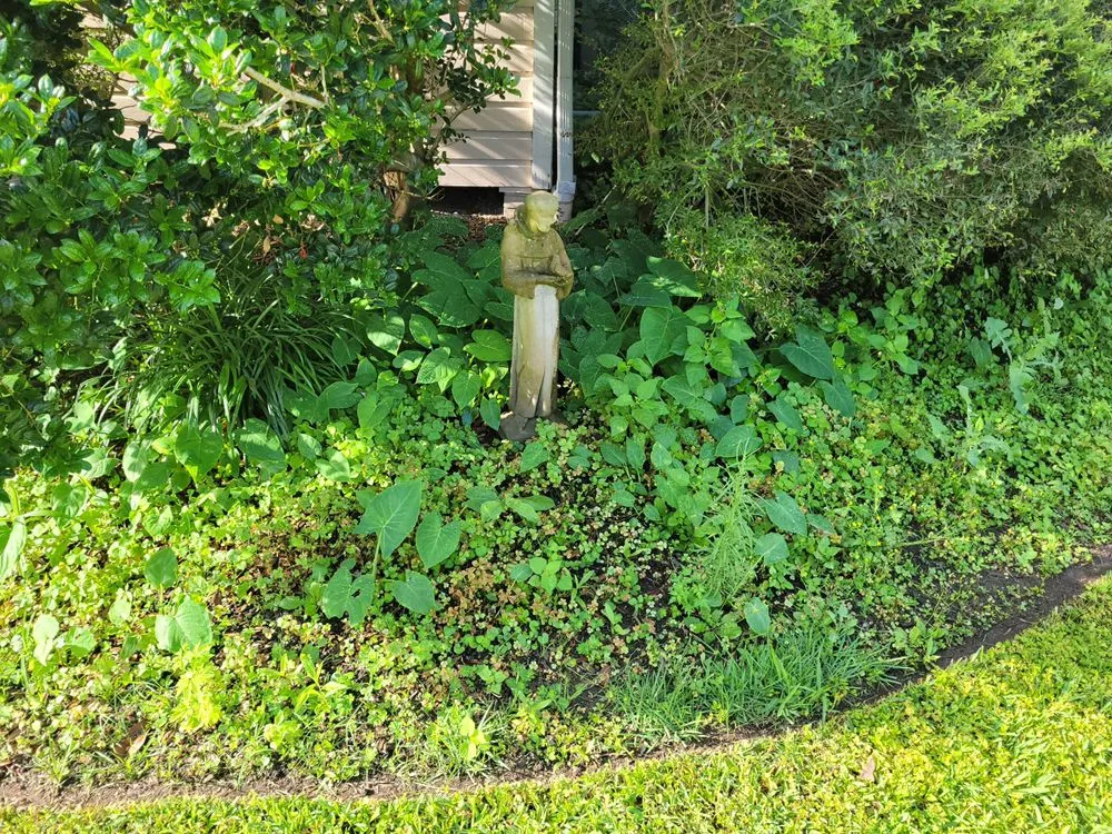 Custom landscaping services for year-round maintenance in Houston, TX by The Great Grassby Lawn Service