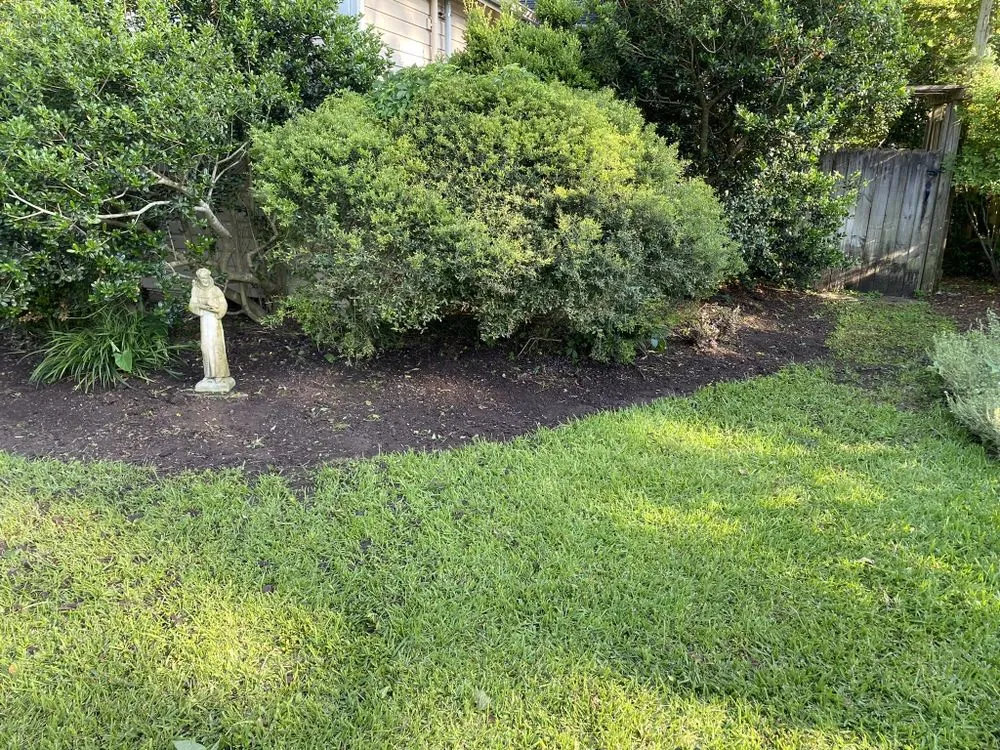 Expert landscape installation for beautiful yards across Houston, TX - The Great Grassby Lawn Service