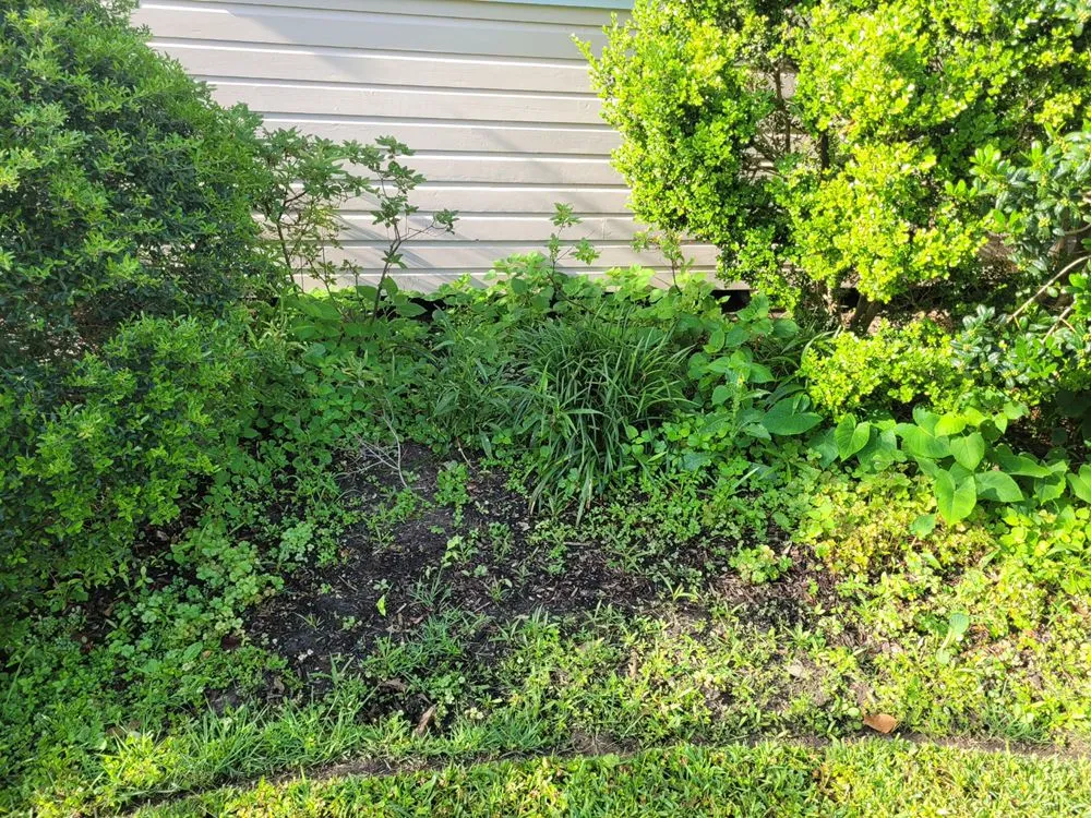 Top-rated lawn care service for outdoor upgrades in Houston, TX by The Great Grassby Lawn Service