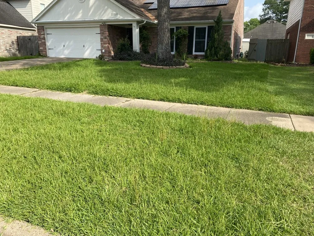 Professional garden landscaping experts serving Houston, TX - The Great Grassby Lawn Service