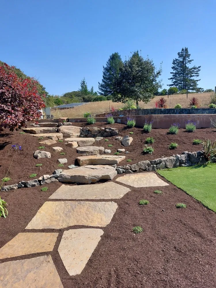 Top-rated landscaping services for year-round maintenance in Healdsburg, CA by The Great Landscape