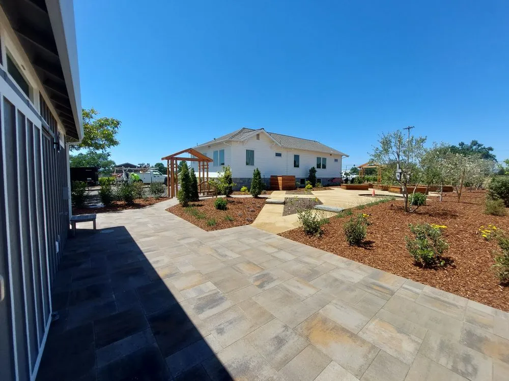 Trusted yard cleanup service in Healdsburg, CA - The Great Landscape