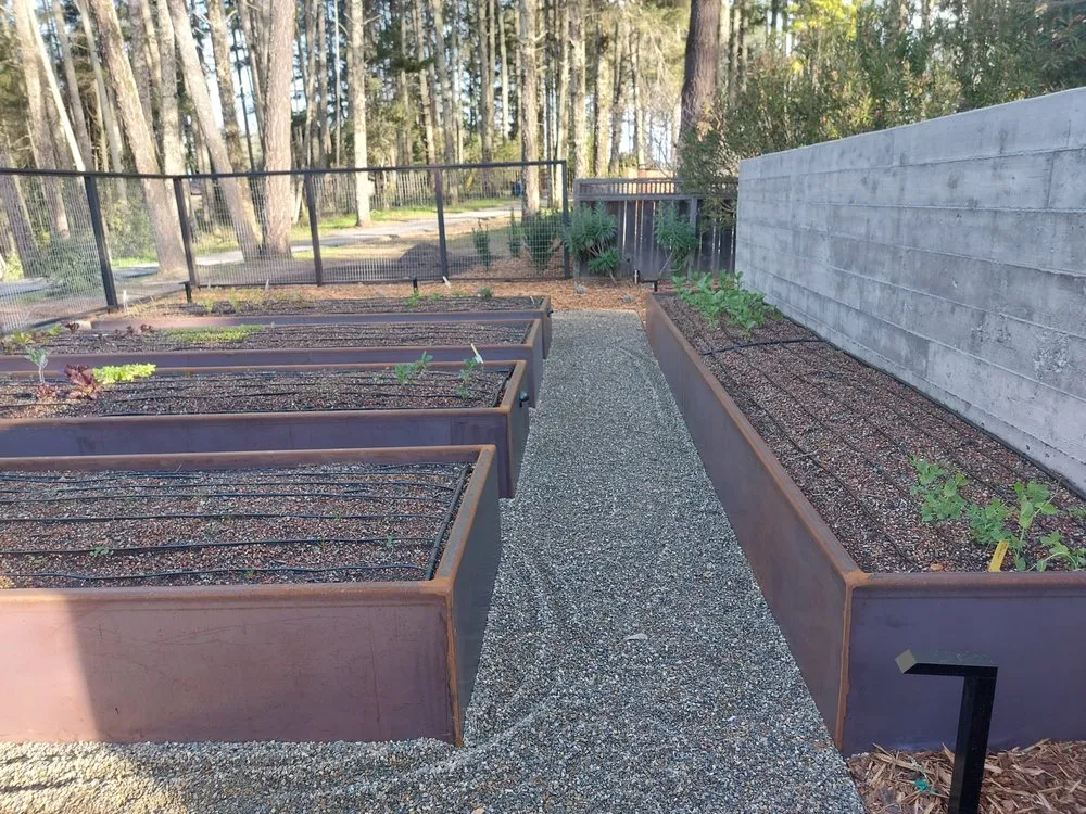 Affordable yard maintenance for homes in Healdsburg, CA by The Great Landscape