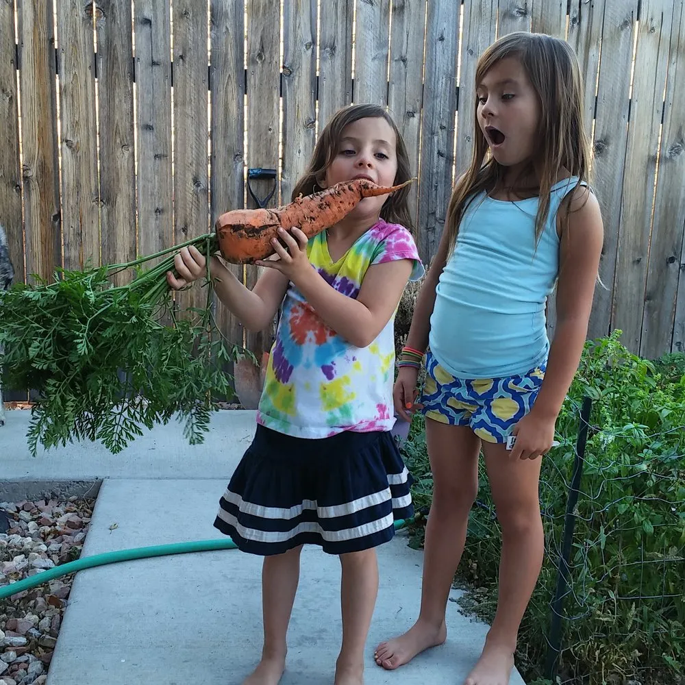 Reliable lawn mowing service for beautiful yards in Denver, CO by The Great Mother Denver Garden Services