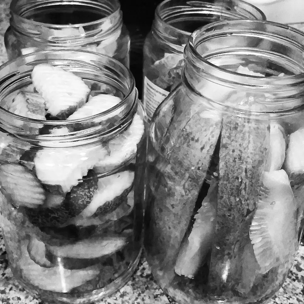 Professional outdoor landscaping in Denver, CO by The Great Mother Denver Garden Services