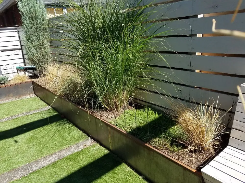 Affordable landscape design in Denver, CO by The Great Mother Denver Garden Services