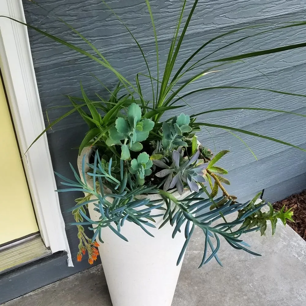 Reliable landscape installation in Denver, CO by The Great Mother Denver Garden Services