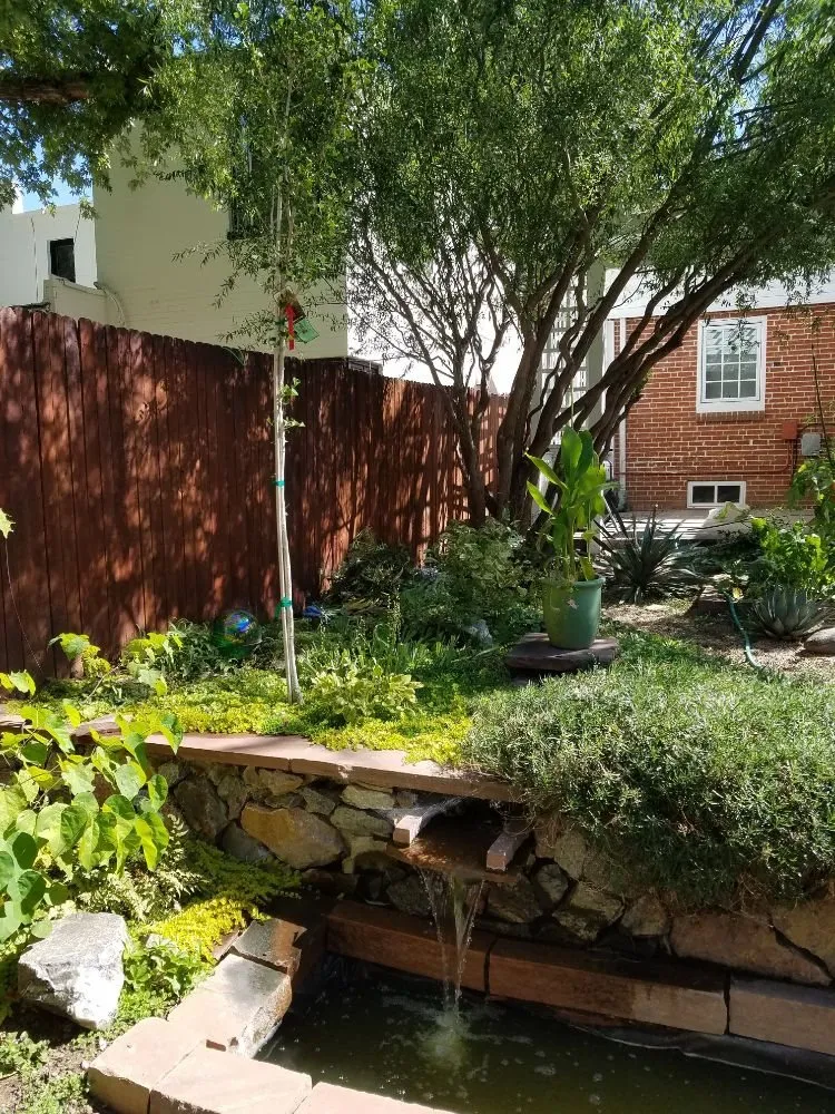 Trusted yard cleanup service in Denver, CO by The Great Mother Denver Garden Services