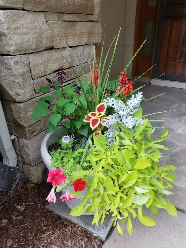 Professional landscape design experts serving Denver, CO - The Great Mother Denver Garden Services