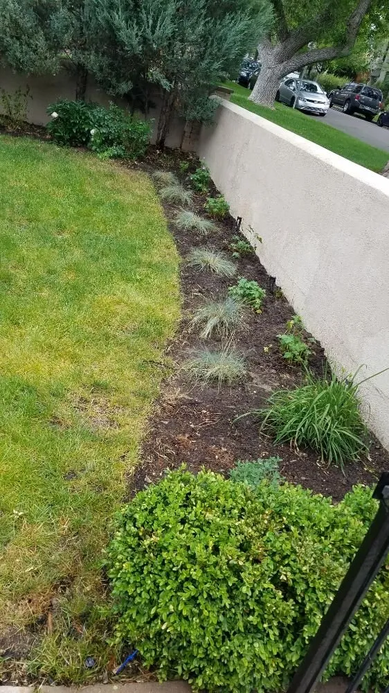 Affordable yard maintenance experts serving Denver, CO - The Great Mother Denver Garden Services