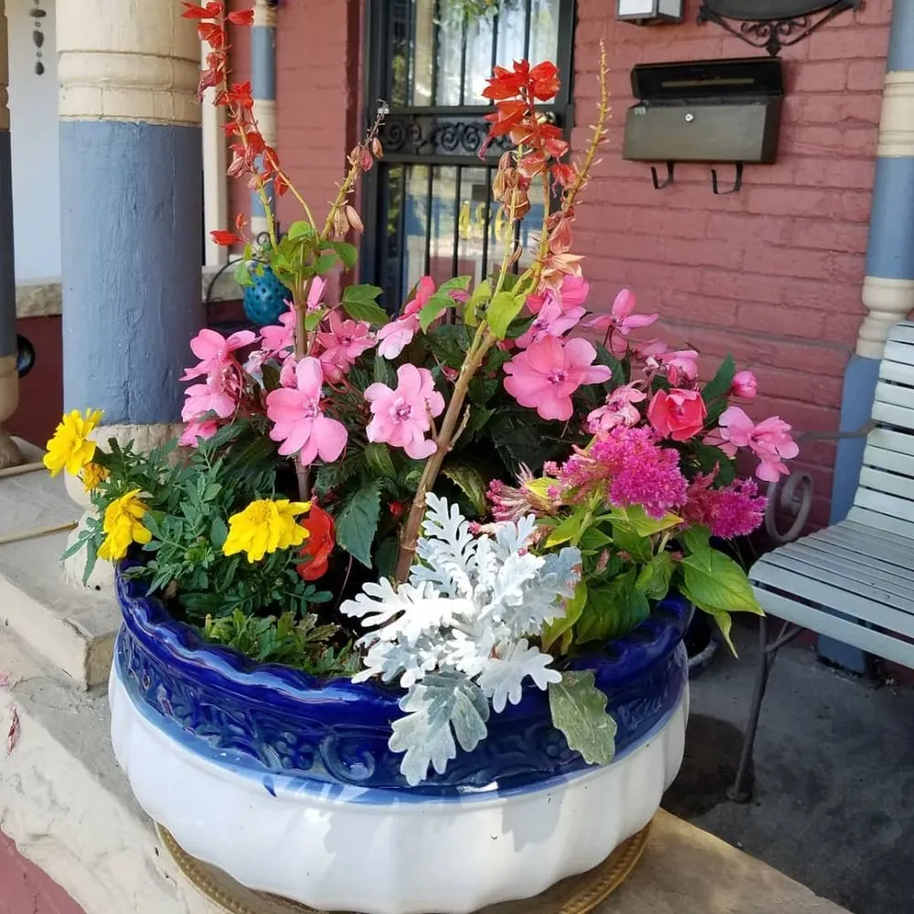 Expert garden landscaping experts serving Denver, CO - The Great Mother Denver Garden Services