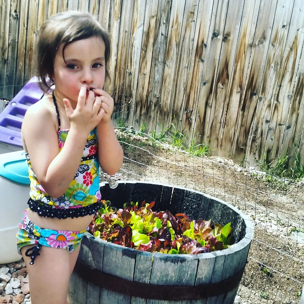 Trusted landscaping services in Denver, CO - The Great Mother Denver Garden Services