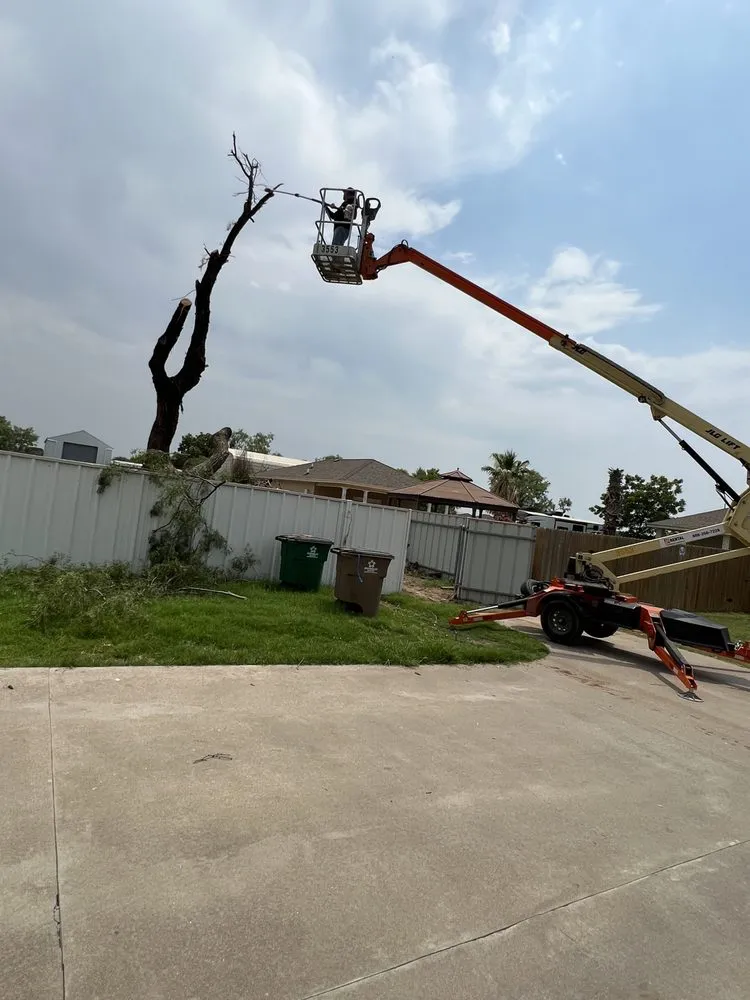 Custom landscaping services for residential properties in San Angelo, TX by The Great View Landscaping