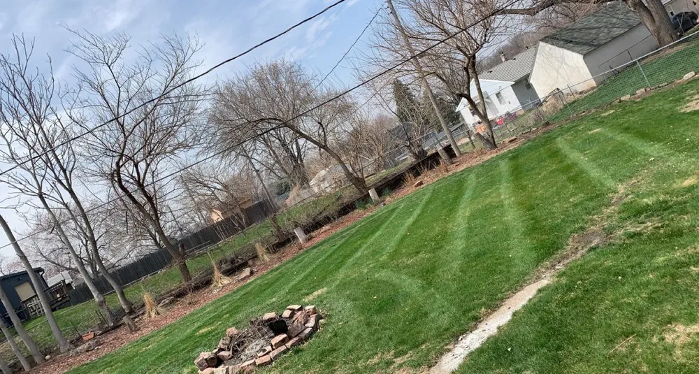 Reliable landscaping services for beautiful yards across Omaha, NE - The Green Barber Lawn Service
