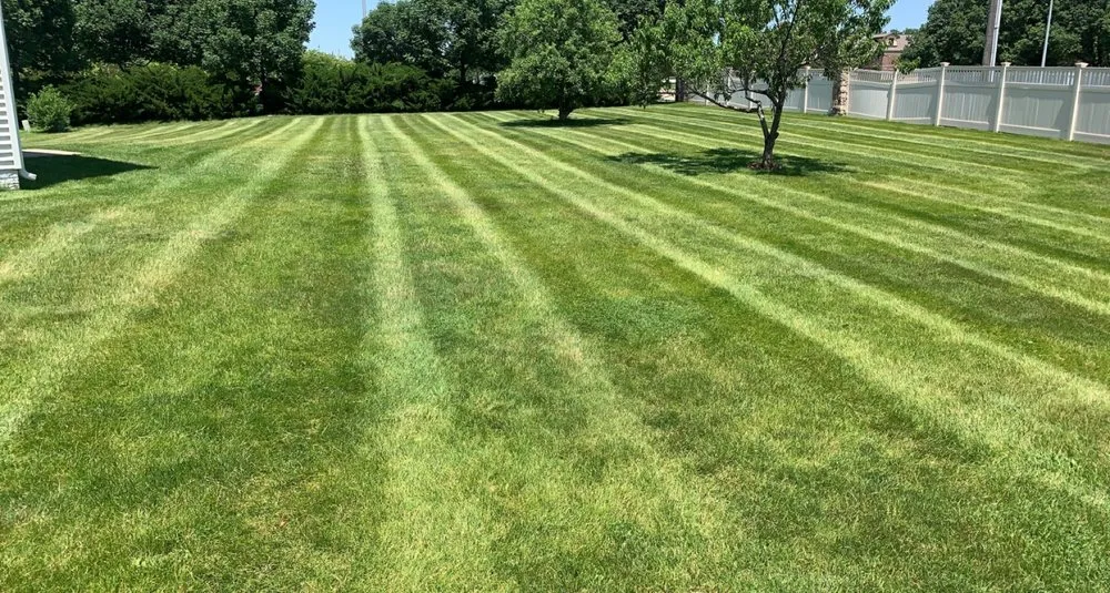 Affordable yard cleanup service for residential properties in Omaha, NE by The Green Barber Lawn Service