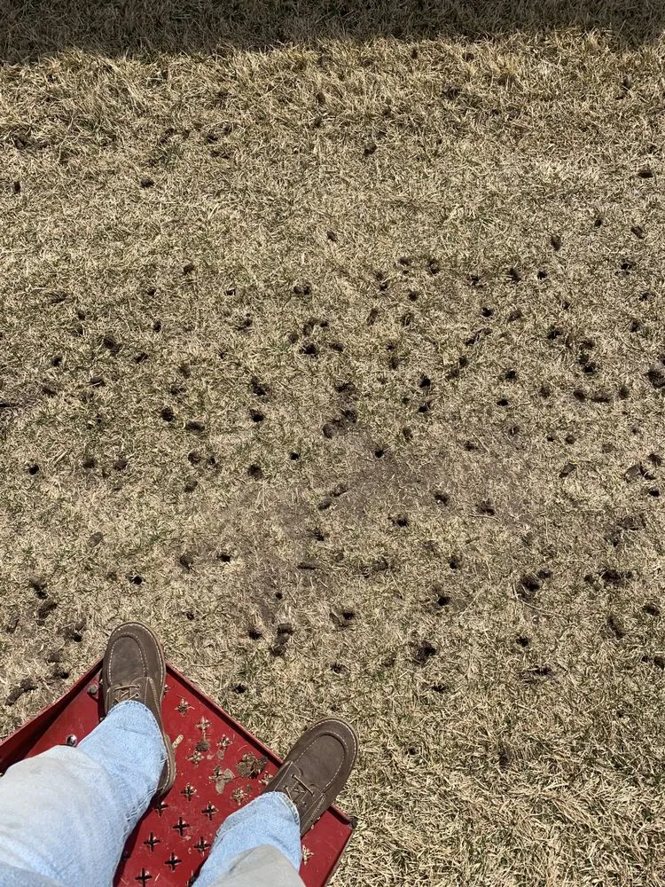 Reliable lawn mowing service experts serving Omaha, NE - The Green Barber Lawn Service