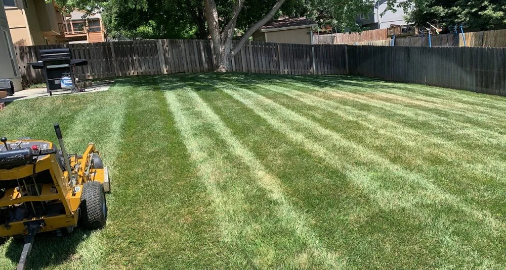 Trusted yard cleanup service in Omaha, NE by The Green Barber Lawn Service