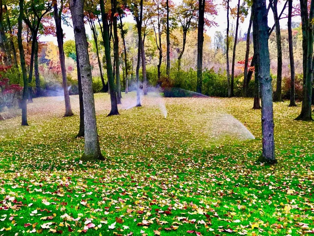 Professional lawn mowing service in Redford, MI - The Green Butlers