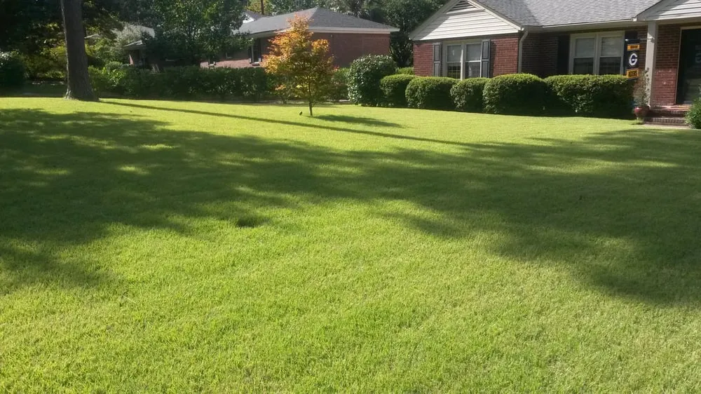 Custom residential landscaping in West Columbia, SC by The Green Chaos...Solved