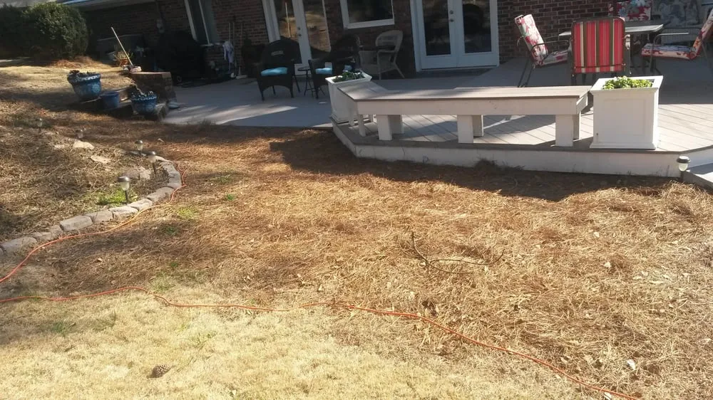 Professional lawn care service in West Columbia, SC by The Green Chaos...Solved