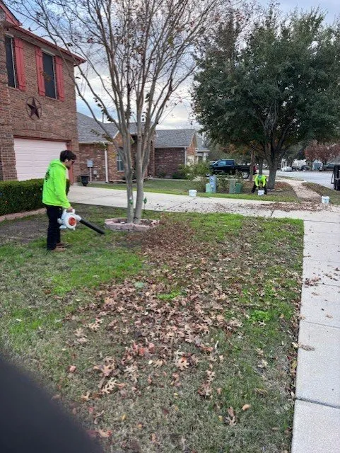 Local lawn mowing service in Kyle, TX - The Green Dude Organic Lawn Care