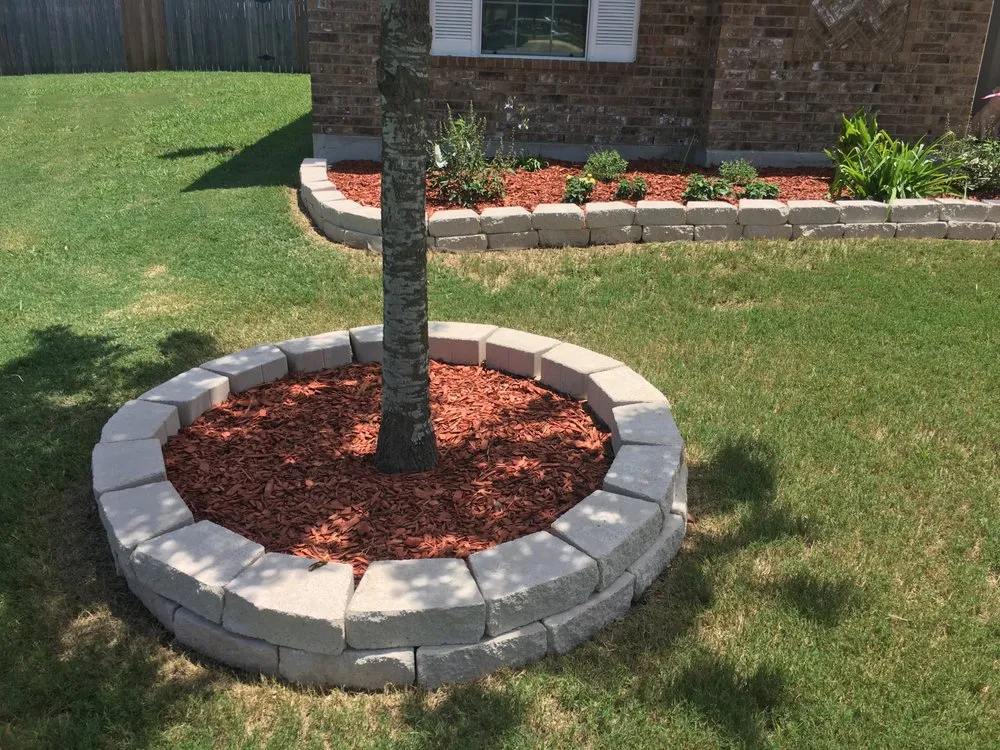 Reliable lawn care service in Kyle, TX by The Green Dude Organic Lawn Care