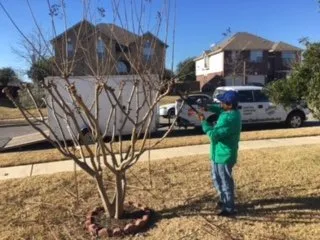 Local landscape design with custom design in Kyle, TX by The Green Dude Organic Lawn Care