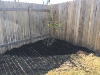 Top-rated yard maintenance in Kyle, TX - The Green Dude Organic Lawn Care