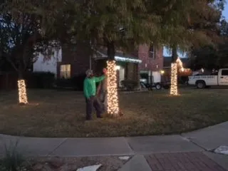 Trusted yard cleanup service for year-round maintenance in Kyle, TX by The Green Dude Organic Lawn Care