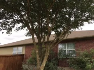 Reliable lawn care service in Kyle, TX by The Green Dude Organic Lawn Care