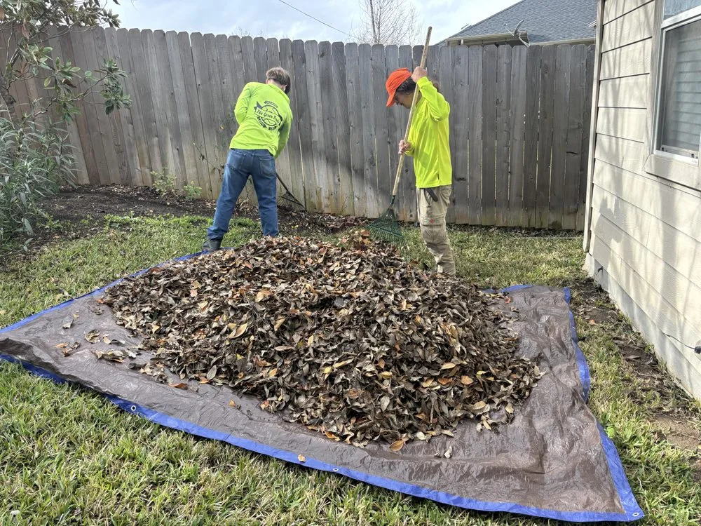 Top-rated landscape design for homes in Kyle, TX by The Green Dude Organic Lawn Care