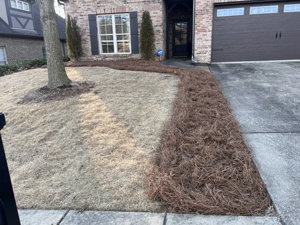 Trusted yard maintenance in Birmingham, AL - The Green Earth Lawn Care