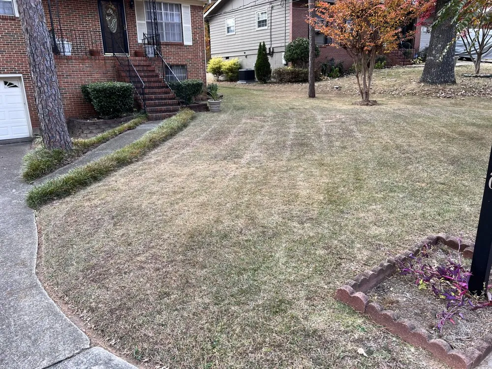 Top-rated landscape installation for year-round maintenance in Birmingham, AL by The Green Earth Lawn Care