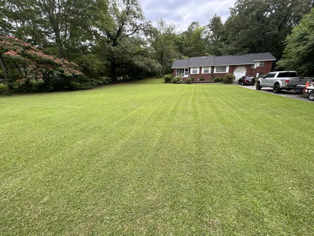 Reliable yard cleanup service for residential properties in Birmingham, AL by The Green Earth Lawn Care