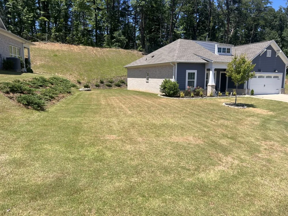 Professional yard cleanup service experts serving Birmingham, AL - The Green Earth Lawn Care