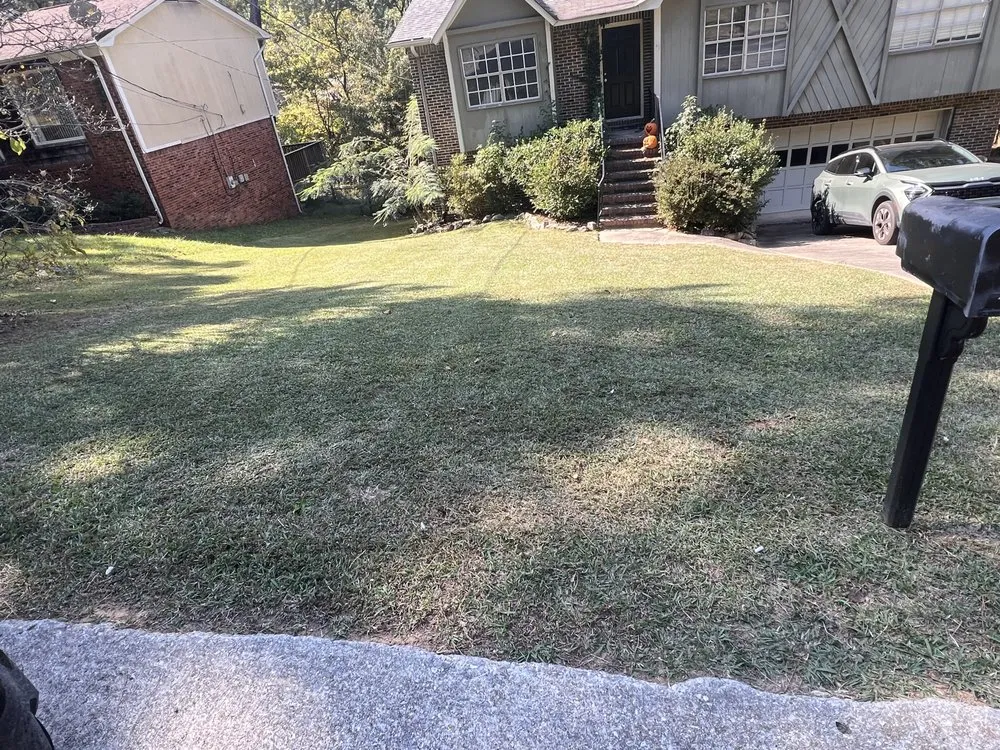 Expert landscaping services experts serving Birmingham, AL - The Green Earth Lawn Care