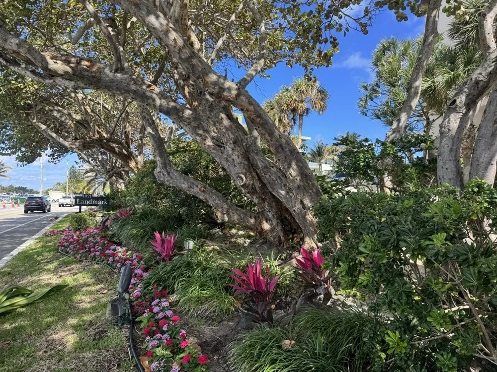 Expert outdoor landscaping in Davie, FL by The Green Experts Landscaping