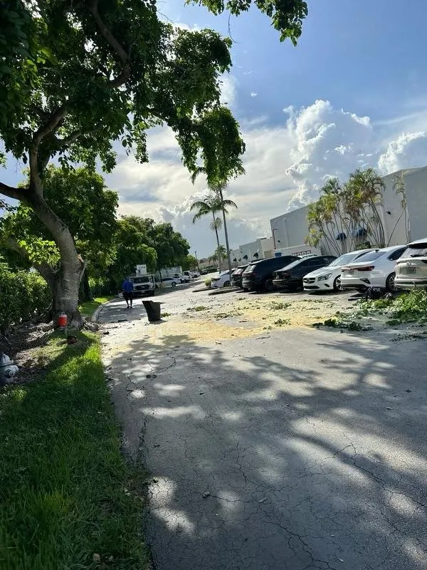 Reliable landscape installation for year-round maintenance in Davie, FL by The Green Experts Landscaping