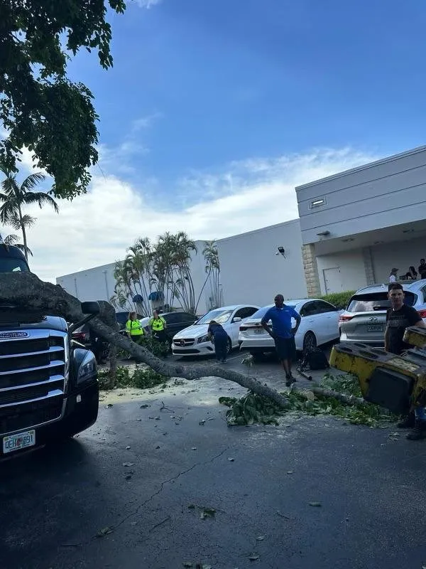 Expert residential landscaping experts serving Davie, FL - The Green Experts Landscaping