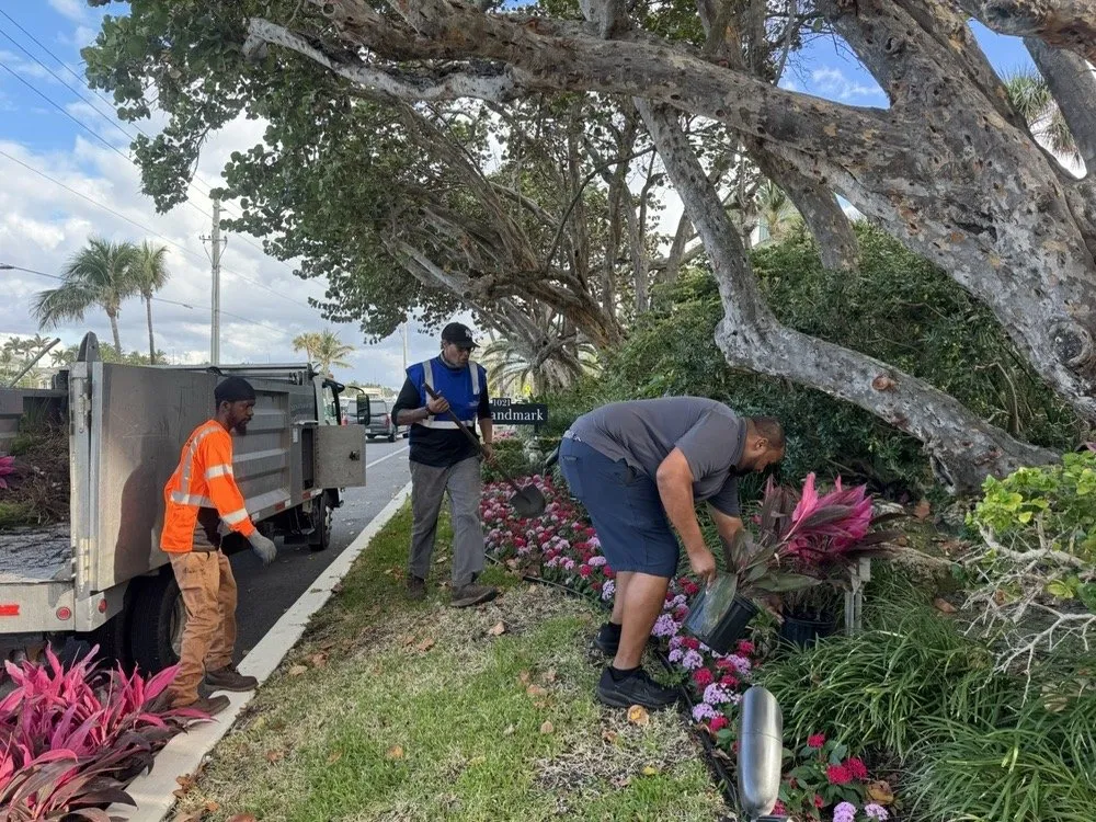 Affordable outdoor landscaping in Davie, FL - The Green Experts Landscaping