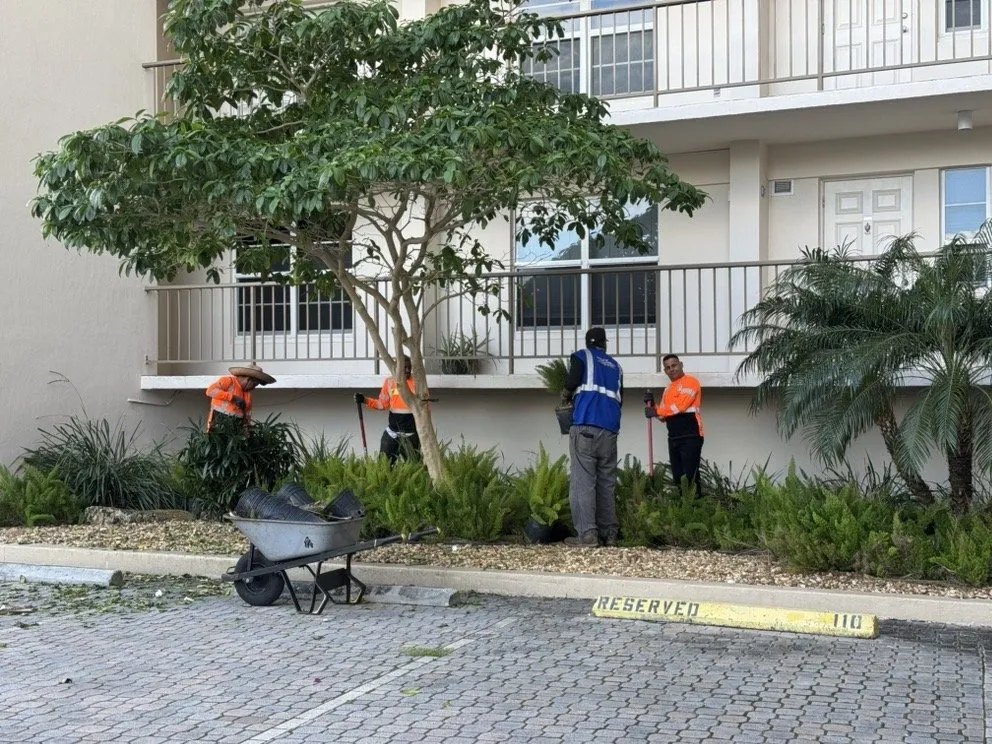 Local lawn mowing service for residential properties in Davie, FL by The Green Experts Landscaping