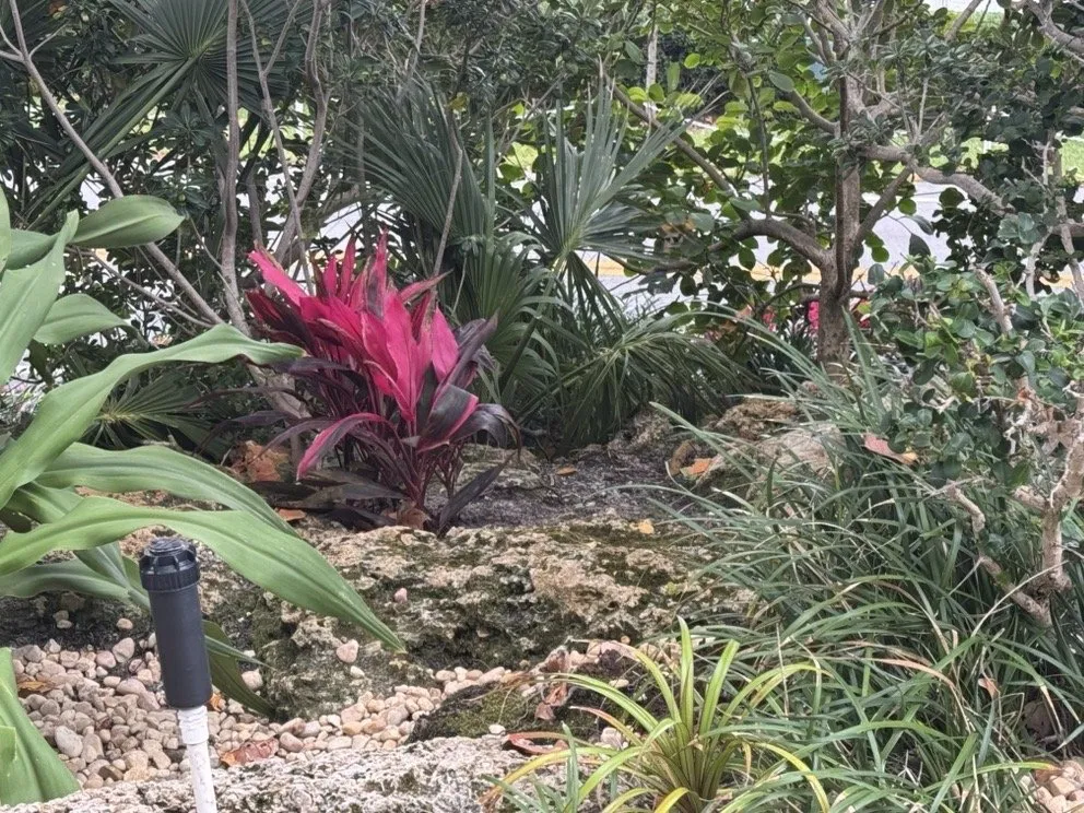 Reliable landscape design for residential properties in Davie, FL by The Green Experts Landscaping