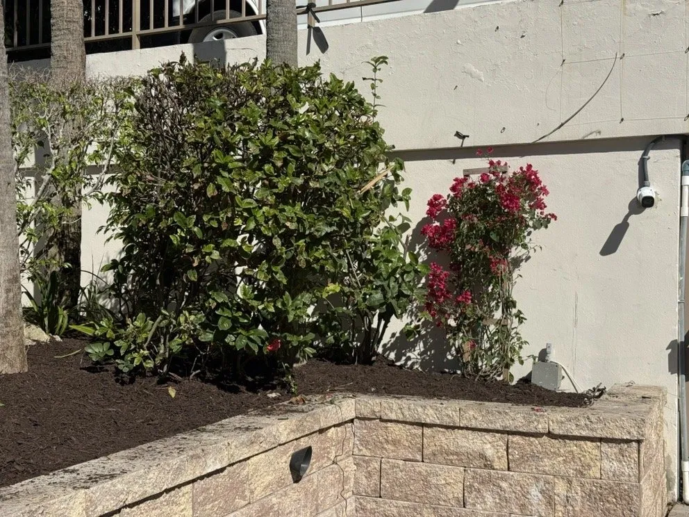 Top-rated outdoor landscaping experts serving Davie, FL - The Green Experts Landscaping