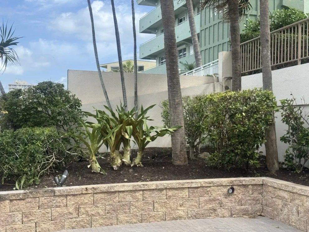 Reliable residential landscaping for outdoor upgrades in Davie, FL by The Green Experts Landscaping