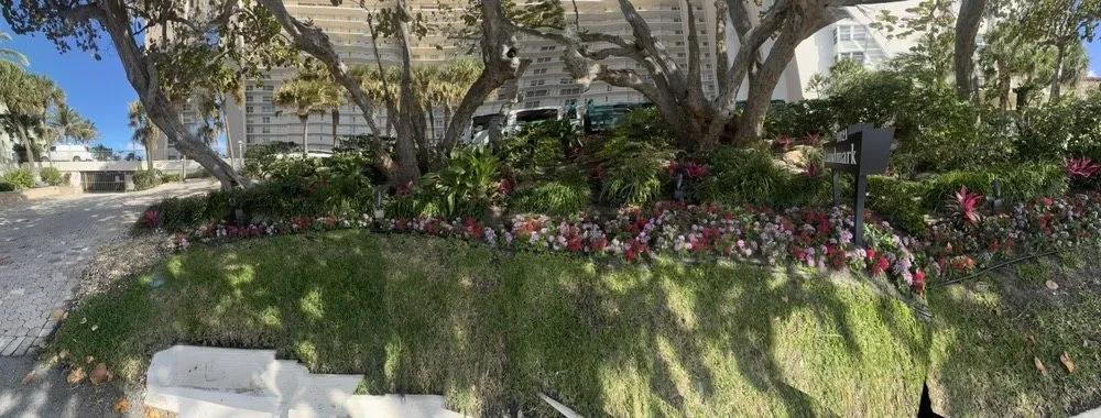 Trusted yard maintenance in Davie, FL - The Green Experts Landscaping