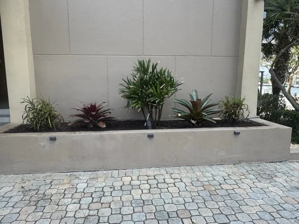 Trusted lawn mowing service in Davie, FL by The Green Experts Landscaping